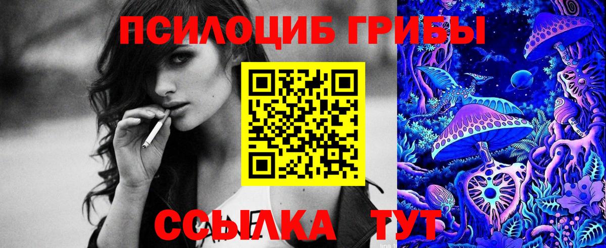 где купить наркоту  Вход с VPN  Каспийск  Псилоцибиновые грибы Magic Shrooms 